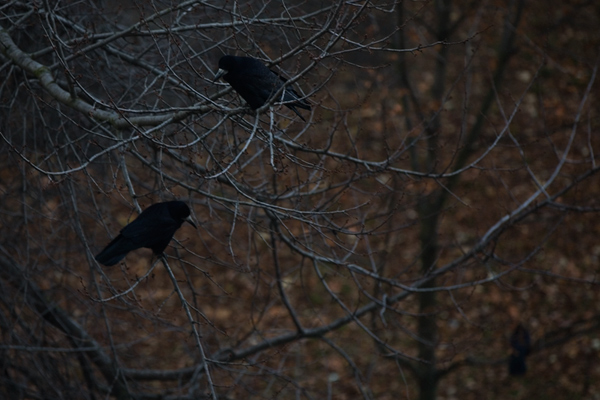528 :: Waiting place 3